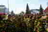 2009