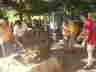 2009