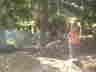 2009