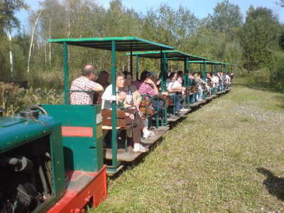 2009