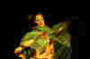 Bunter Abend 2007-125