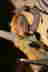 Bunter Abend 2007-135