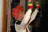 Bunter Abend 2007-189