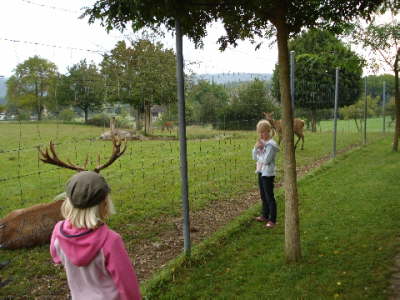 Jugendausflug 2008