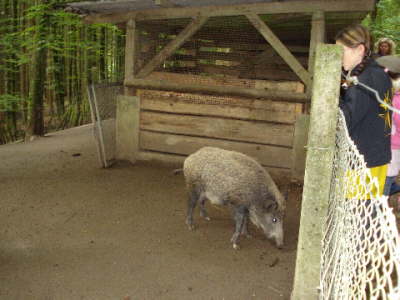 Jugendausflug 2008