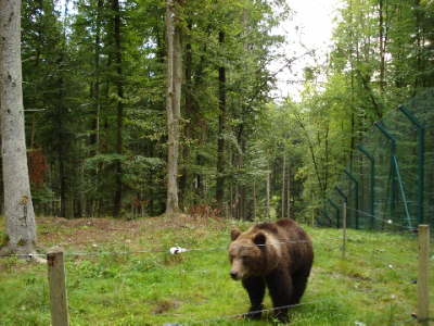 Jugendausflug 2008