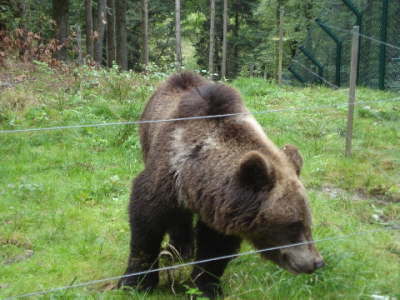 Jugendausflug 2008