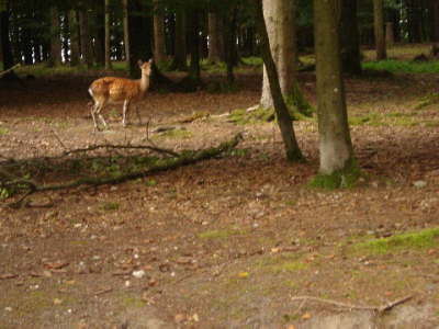 Jugendausflug 2008