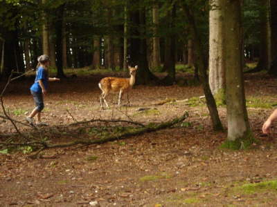 Jugendausflug 2008
