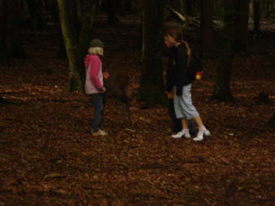 Jugendausflug 2008