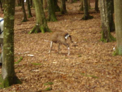 Jugendausflug 2008