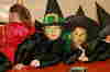 Narrenbaum46