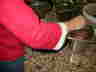 Pizzabacken 2005-42