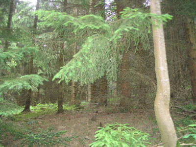 Wandertag 2005-05