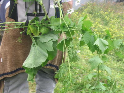 Wandertag 2005-06