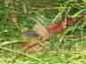 Wandertag 2005-21