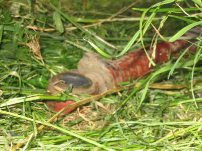 Wandertag 2005-21