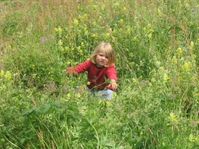 Wandertag 2005-31