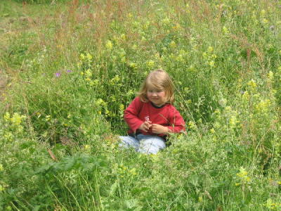 Wandertag 2005-32